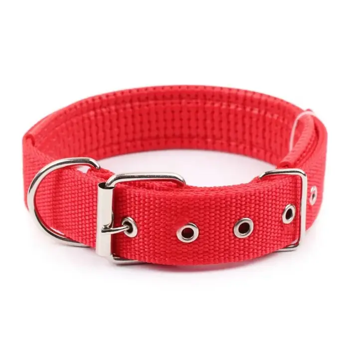 Colliers solides pour chiens, collier en nylon pour chiens de petite, moyenne et grande taille, Tedd