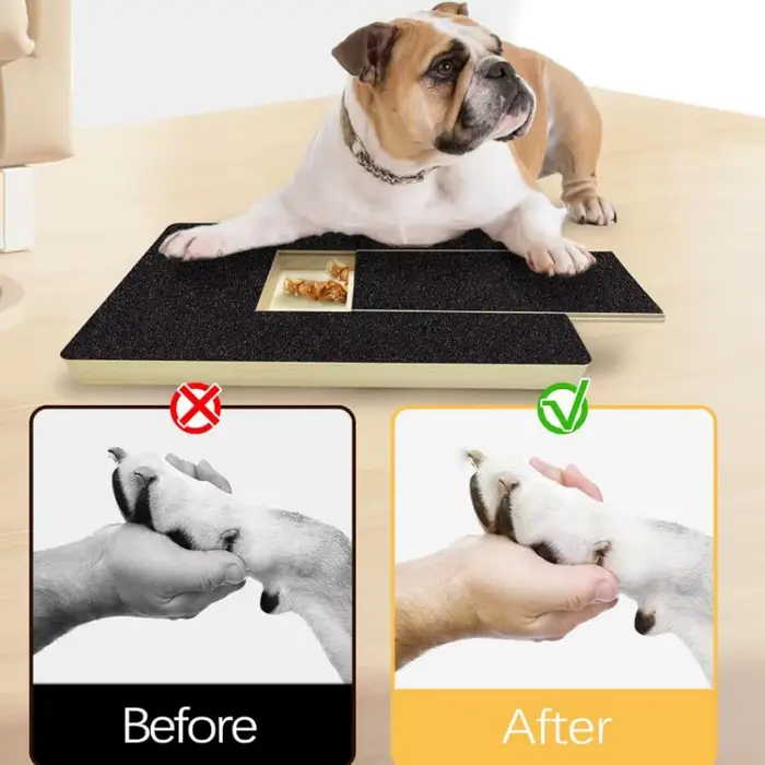 Grattoir en bois pour chiens avec boîte à friandises intégrée, plateau de coupe-griffes, surface en papier de verre à conception coulissante, jouet à gratter