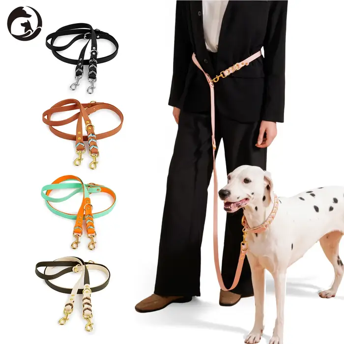 Laisses pour chiens solide