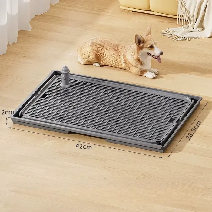 Toilettes pour chiens avec cathéter urinaire, accessoires pour chiens, bain séparable, toilettes uri
