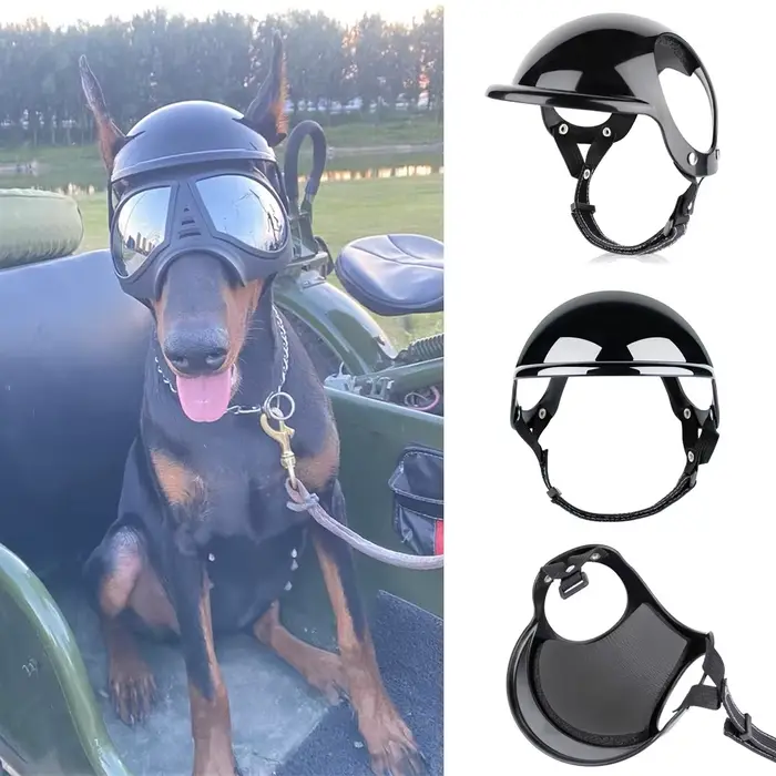 Casque de sécurité Cool pour chiens de petite et moyenne taille, bouledogue français Doberman Pinsch