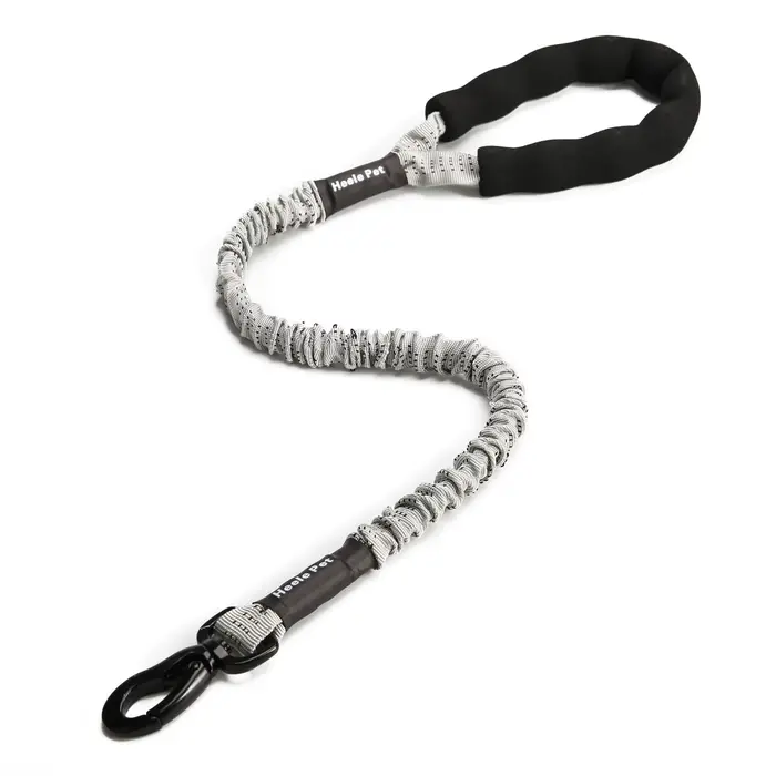 Amorti de laisse Flexible pour chien, antidéflagrant, corde élastique tampon, grande et féroce forte