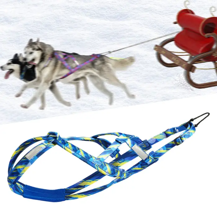 Harnais de traîneau pour chien Sport Skijoring professionnel Bikejoring Husky