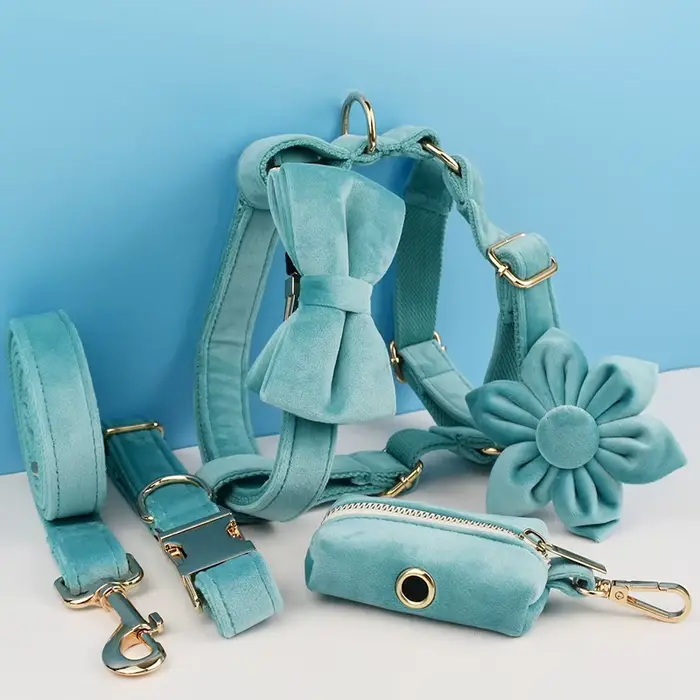 Ensemble collier et laisse pour chien en velours avec pierre turquoise, plaque nominative gravée sur