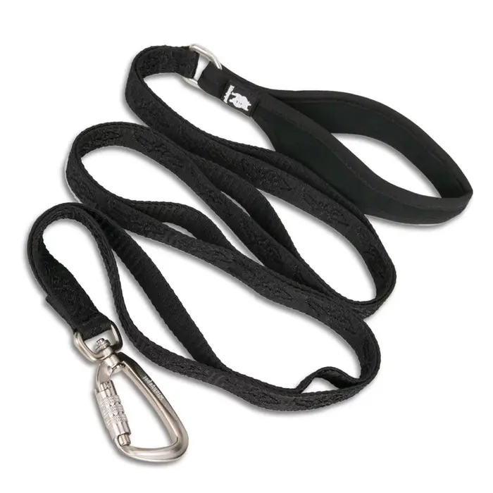 TRUELOVE-Laisse pour animal de compagnie en nylon et alliage de zinc, mousqueton à crochet, accessoi