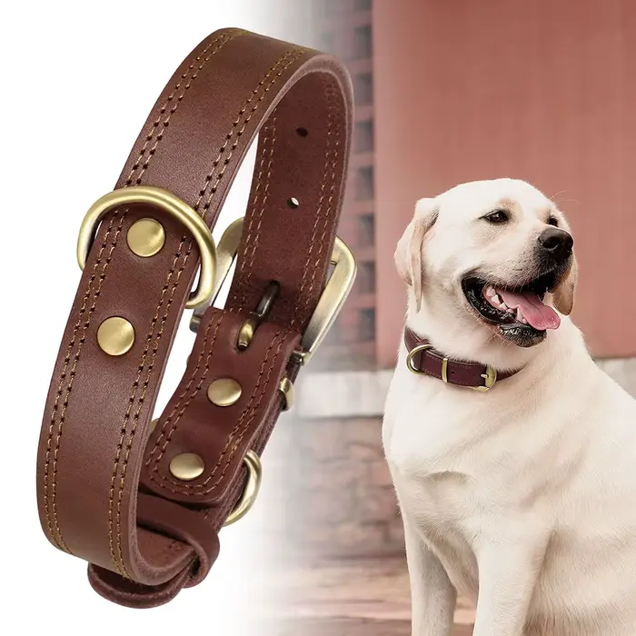 Collier en cuir véritable pour petits et grands chiens