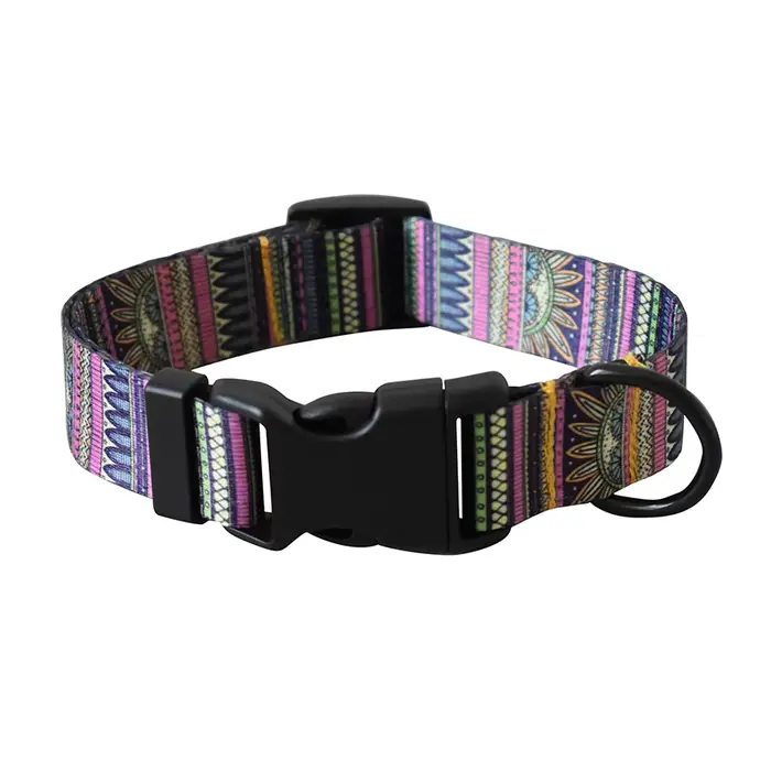 Ensemble de laisse et collier pour chien, sangles pour animaux de compagnie, pour chiens de petite e