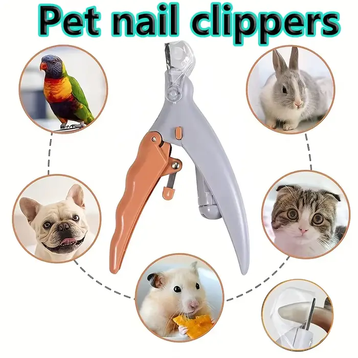 Coupe-ongles LED pour animaux de compagnie, pour le toilettage facile et sûr des pattes de chien et 