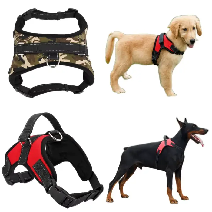 Sangle de poitrine réglable en nylon SFP pour chien