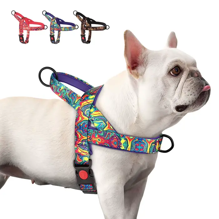 Harnais pour chien à contrôle rapide avec poignée, sans traction, gilet en Nylon pour chiens, imprim