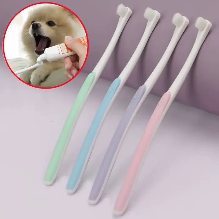 Brosse à dents pour chien