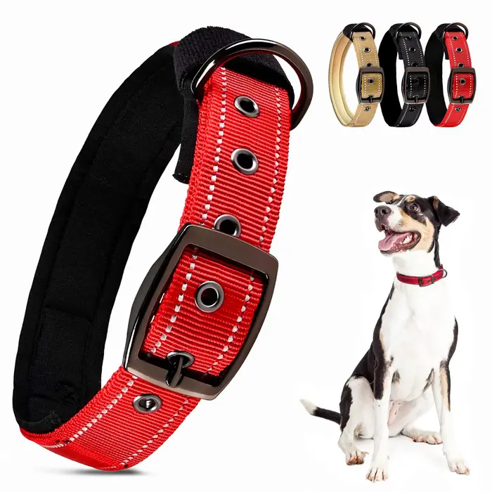 Collier pour chien rayé réfléchissant