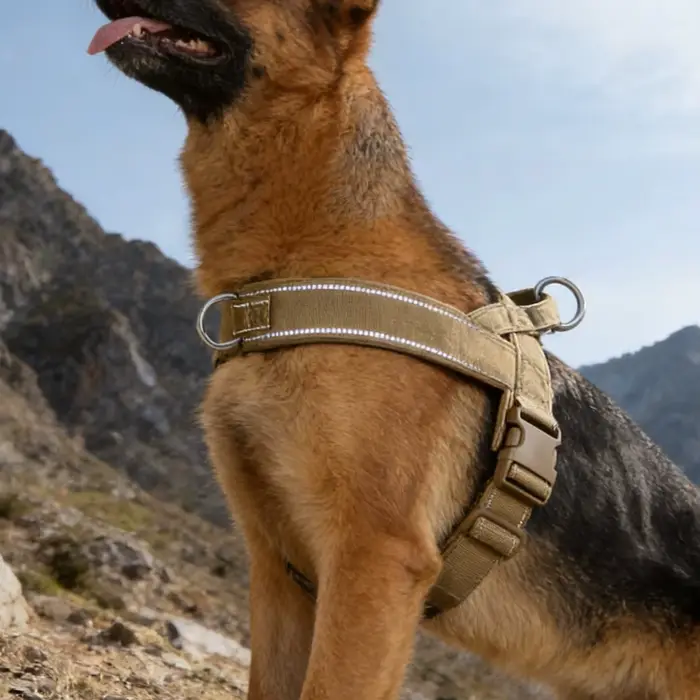 Harnais tactique anti-traction pour chien de grande race : Gilet robuste avec bande réfléchissante