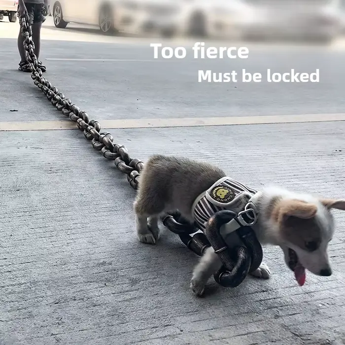 Laisse de chien créative chaîne