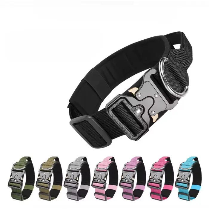 Grands colliers pour chiens