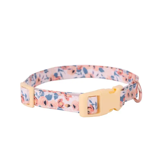 Ensemble de harnais et laisse pour petit chien, Bracelet de Traction mignon, collier pour chat moyen