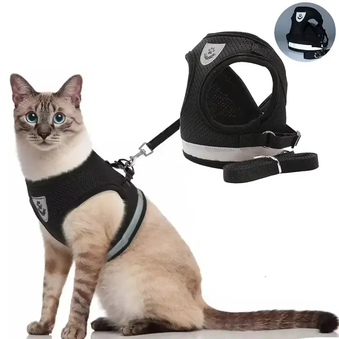 Harnais pour chat, ensemble de laisse en plomb