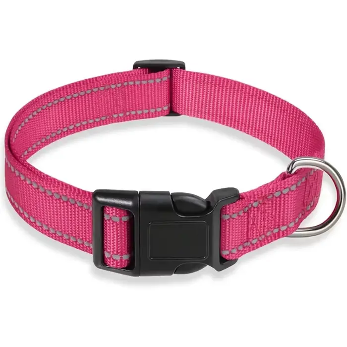 Collier pour chien réglable en néoprène doux rembourré