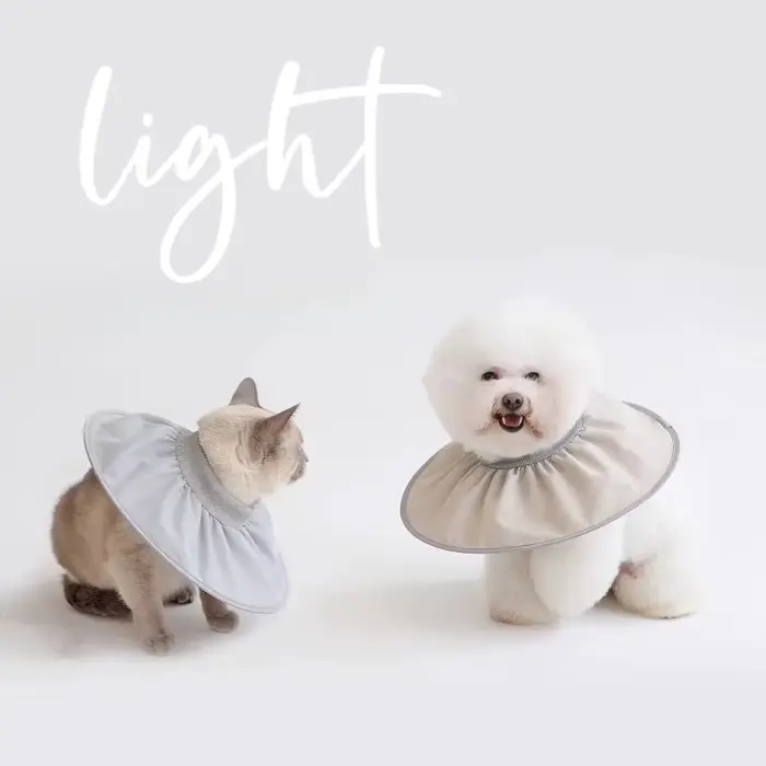 Collier de soins de stérilisation élisabéthain pour animaux de compagnie