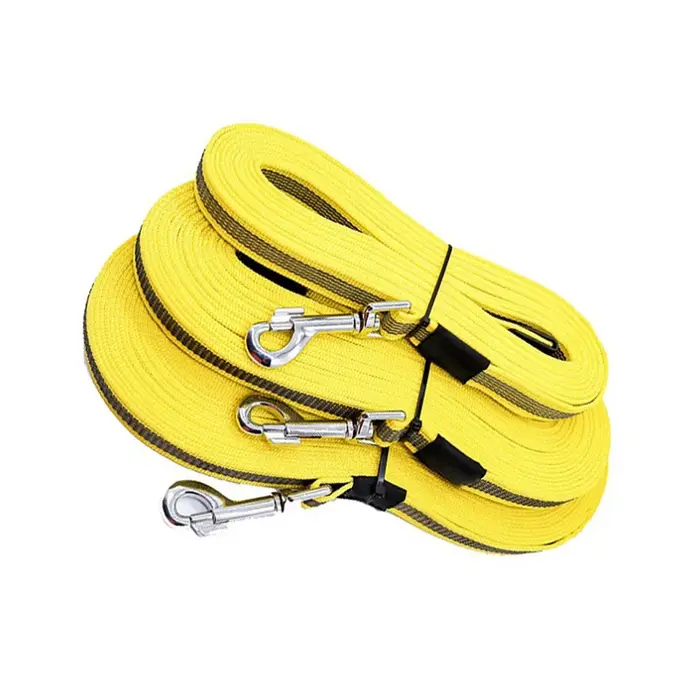 Laisse pour chien de 5m, 10m, 15m, laisse longue pour animaux de compagnie, corde d'entraînement ant