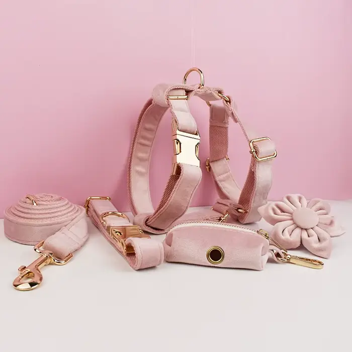 Ensemble collier et laisse pour chien en velours rose pâle, plaque nominative gravée sur mesure, fou