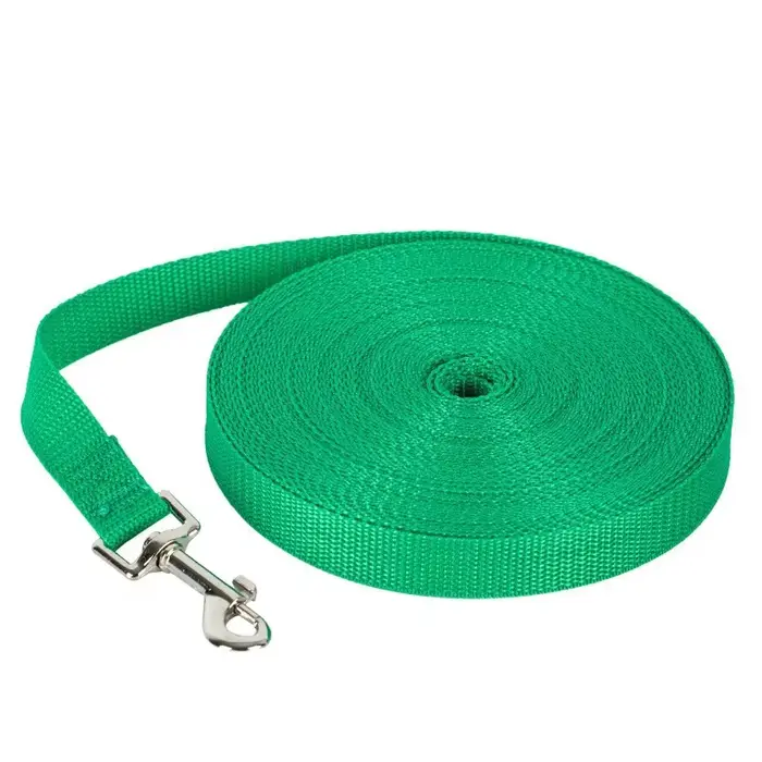 Laisse pour animaux de compagnie Extra longue en Nylon, laisse Durable pour chien, entraînement de r