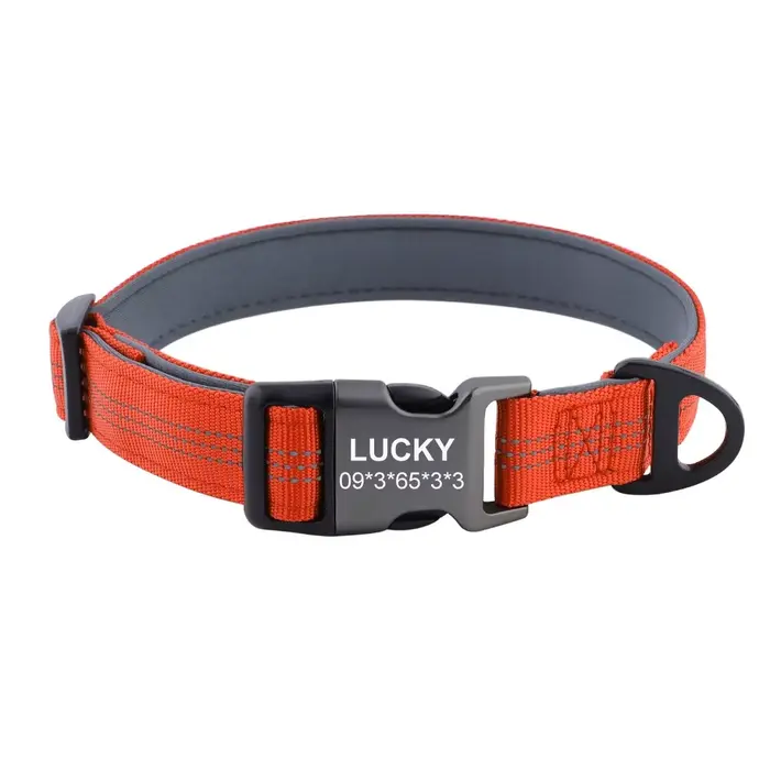 Collier personnalisé avec nom d'animal de compagnie, laisse réglable pour grand chien, collier réflé