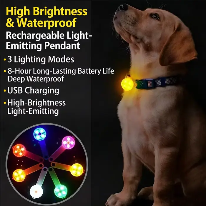 Collier pour chien avec lumière LED (rechargeable par USB)