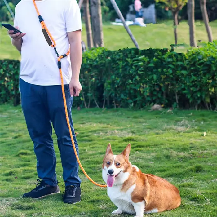 Laisse pour chien mains libres laisse pour chiens laisses réfléchissantes pour chien marche corde de