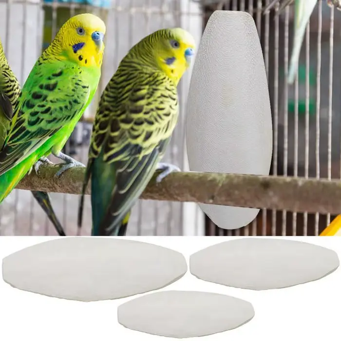 Nouveau 10 pièces/ensemble oiseaux pomme de choc perroquet chewing seiche os pour becs pointus seich