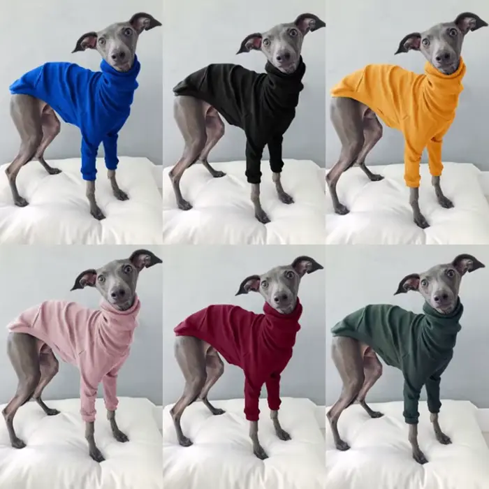 Fil à col roulé en coton pour animaux de compagnie, vêtements pour chiens, veste à deux pattes pour 