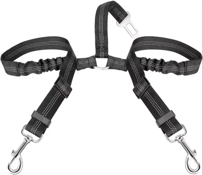 Laisse pour chien 2025, Double corde de Traction robuste pour chiens solides, améliore la sécurité e