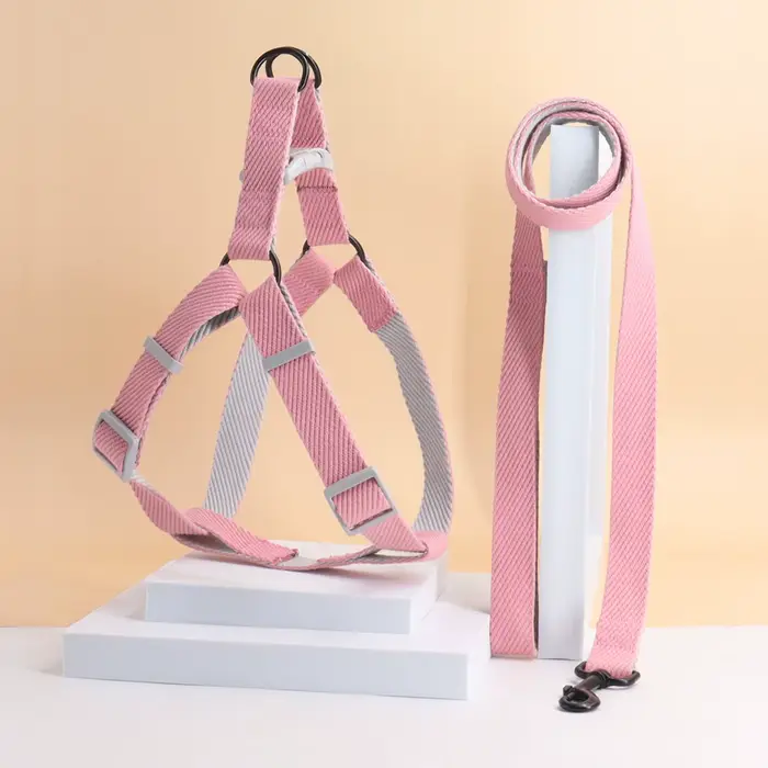 Une laisse pour chien harnais bicolore pour chien pour usage intérieur et extérieur