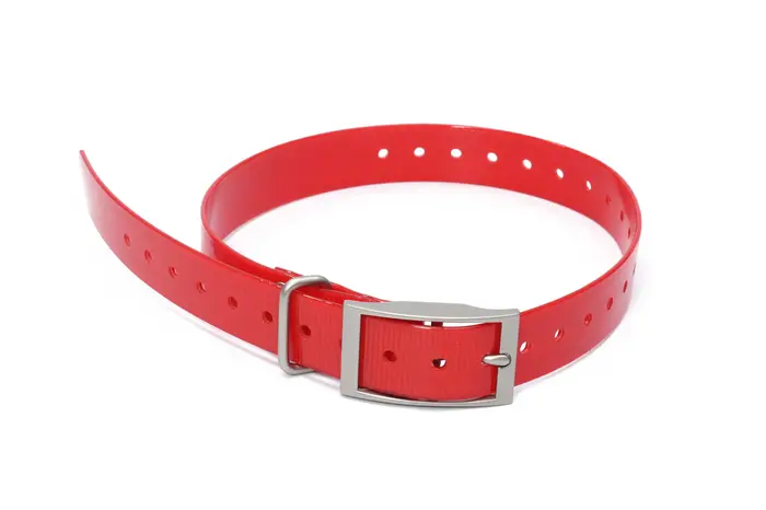 Collier de positionnement pour traceur de chien Garmin T5, sangle de localisation pour chien de comp