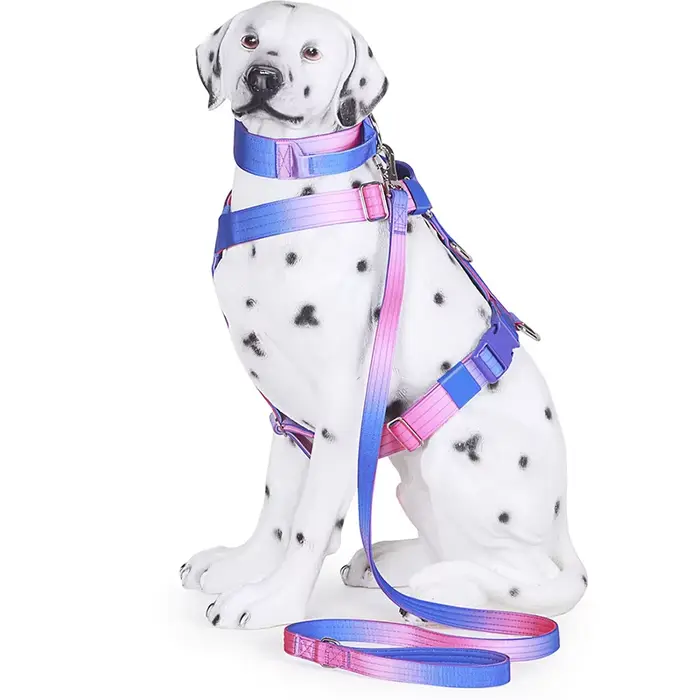 Harnais tactique pour chien