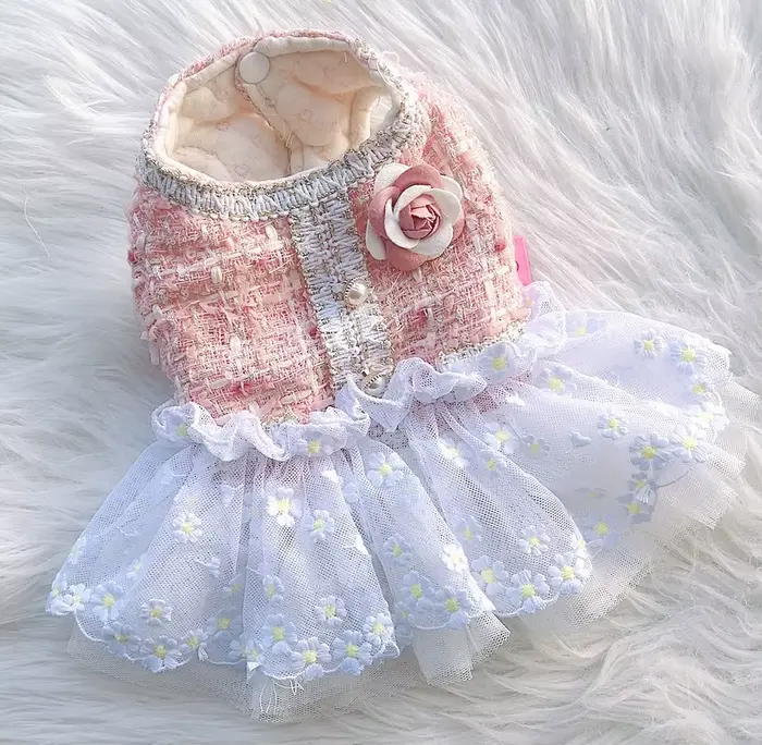 Manteau d'hiver en coton avec jupe en dentelle pour chiots, vêtements pour animaux de compagnie, rob