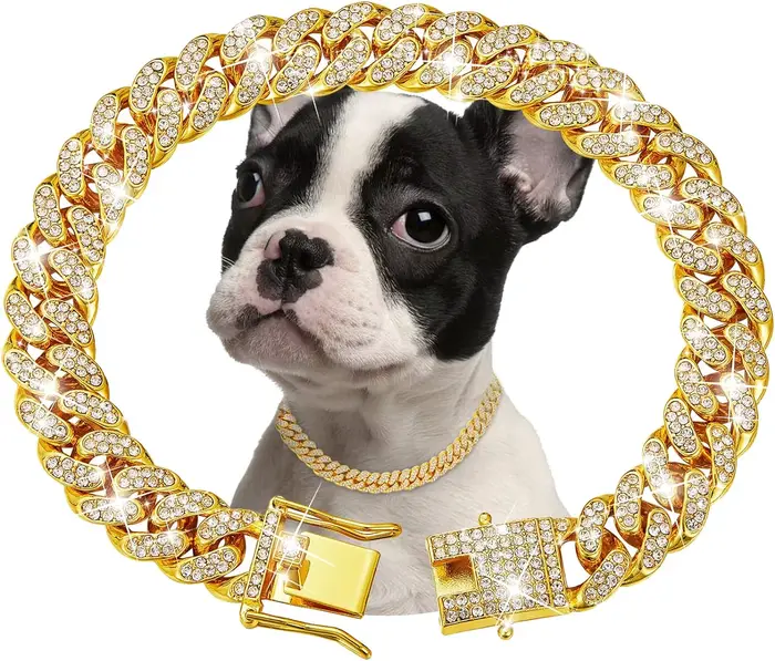 Collier de chaîne en métal doré pour animaux de compagnie, de luxe, pour petits, moyens et grands ch