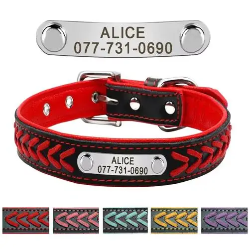 Collier pour chien personnalisé, étiquette pour chien, chiot gravé, chat, plaque signalétique, régla