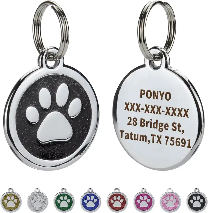 Médaille personnalisée pour collier de chien avec nom gravé, étiquettes d'adresse brodées, accessoir
