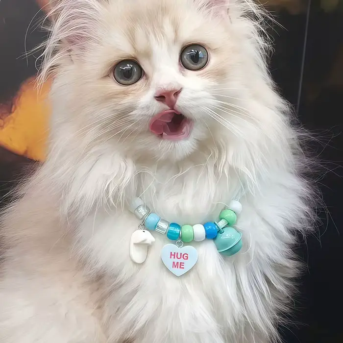 Collier pour chaton avec clochette
