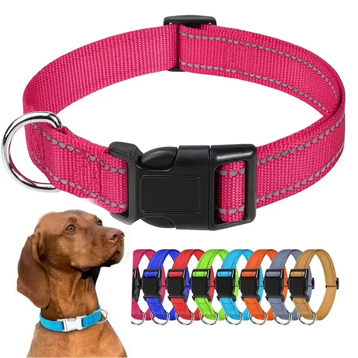Collier ras du cou pour petit chien