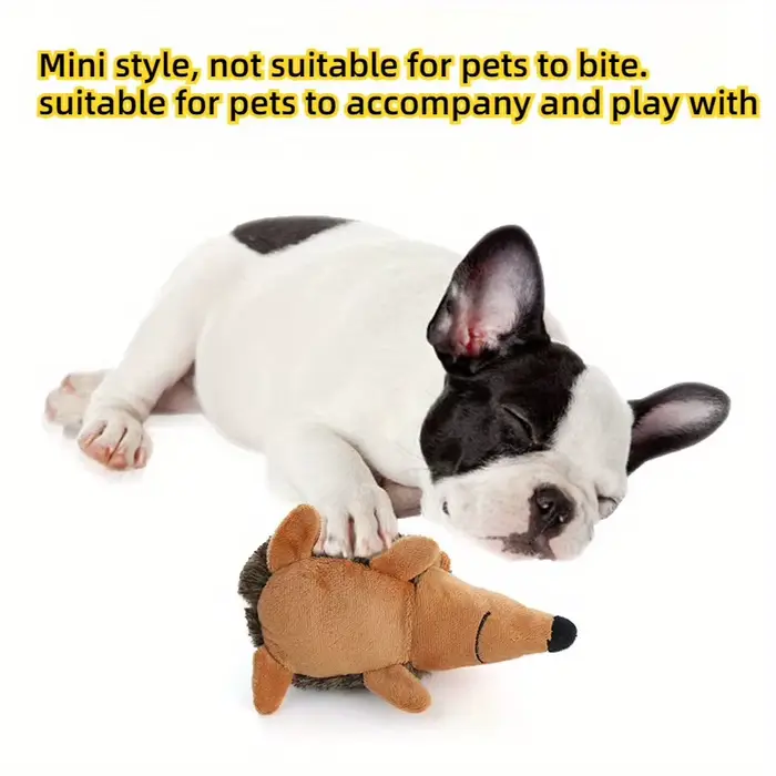 Jouet en peluche hérisson grinçant pour chien