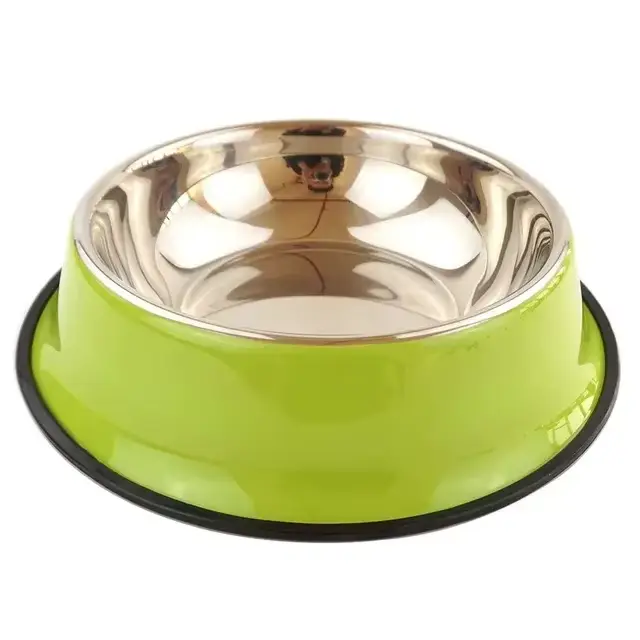 Bol personnalisé en acier inoxydable pour chien, nom personnalisé, plats d'alimentation pour animaux