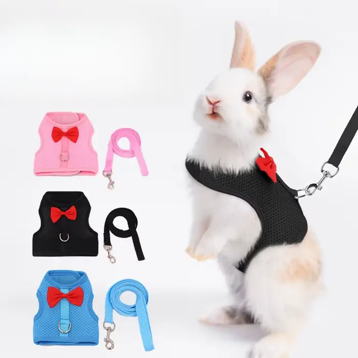 Laisse de gilet rembourrée confortable sans traction pour lapin, harnais de lapin, petit animal de c