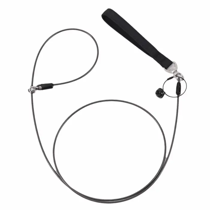 Laisse d'entraînement colorée pour chiot, résistante aux morsures, longueur réglable, collier pour a