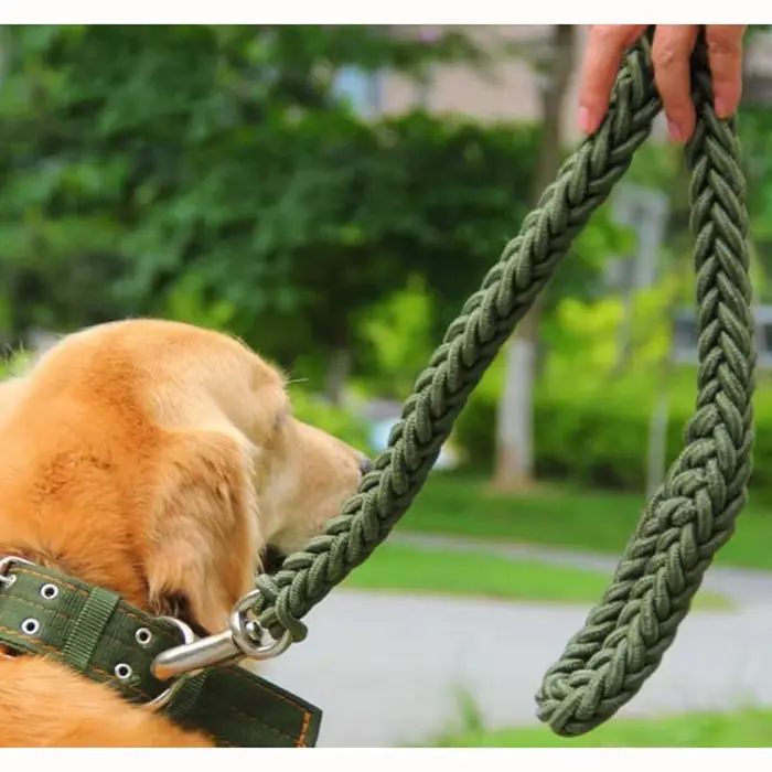 Harnais en Nylon pour chiens de taille moyenne et grande, laisse pour l'entraînement des animaux de 