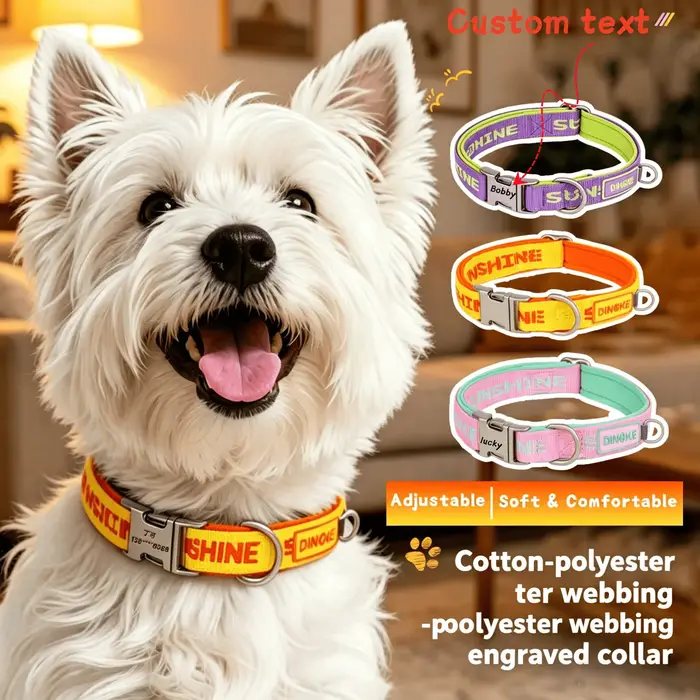 Collier pour animaux de compagnie gravé sur mesure