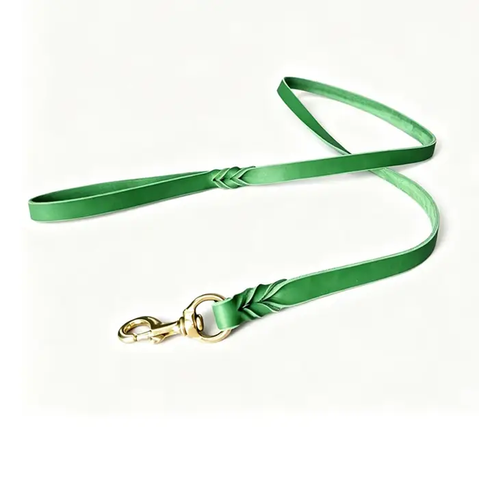 Laisse pour chien en cuir tressé, laisses en cuir véritable pour grands chiens, laisse en cuir vérit