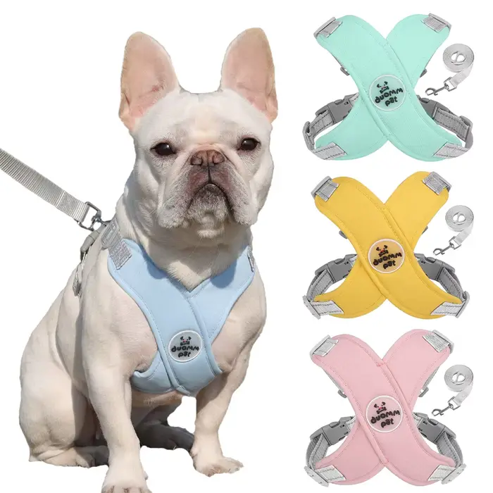 Ensemble Harnais et Laisse pour Chien, Sangle de Poitrine Respirante Réfléchissante pour Bouledogue 