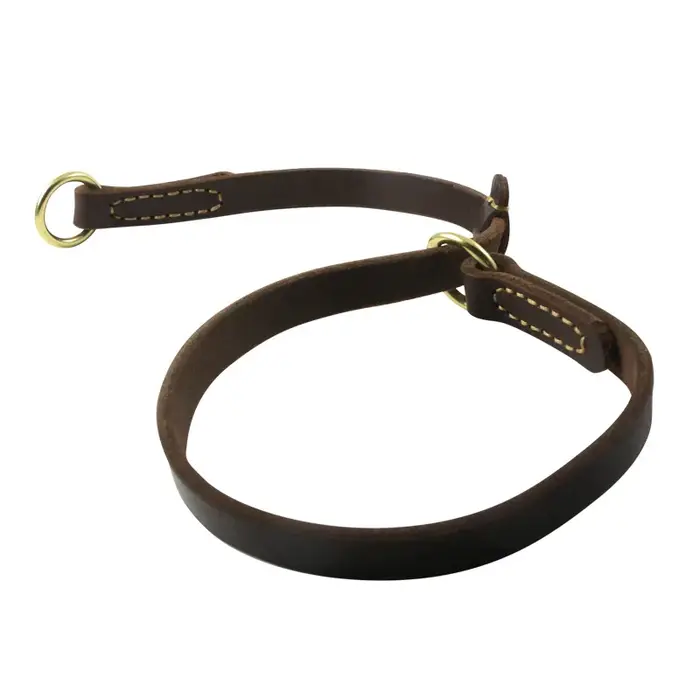 Collier pour chien de grande taille en cuir véritable, collier d'entraînement pour Golden Retriever,